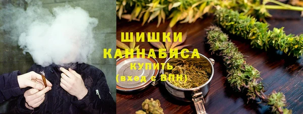 амф Бронницы